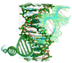 Microcosm DNA